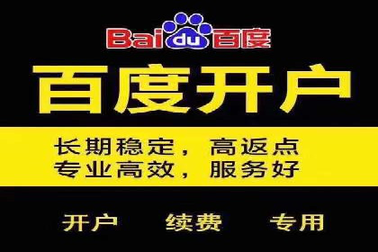 百度SEO推广策略全解析：某企业从零到一的成长历程